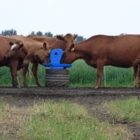 Frostfree Nosepumps Ltd - Livestock Equipment & Supplies
