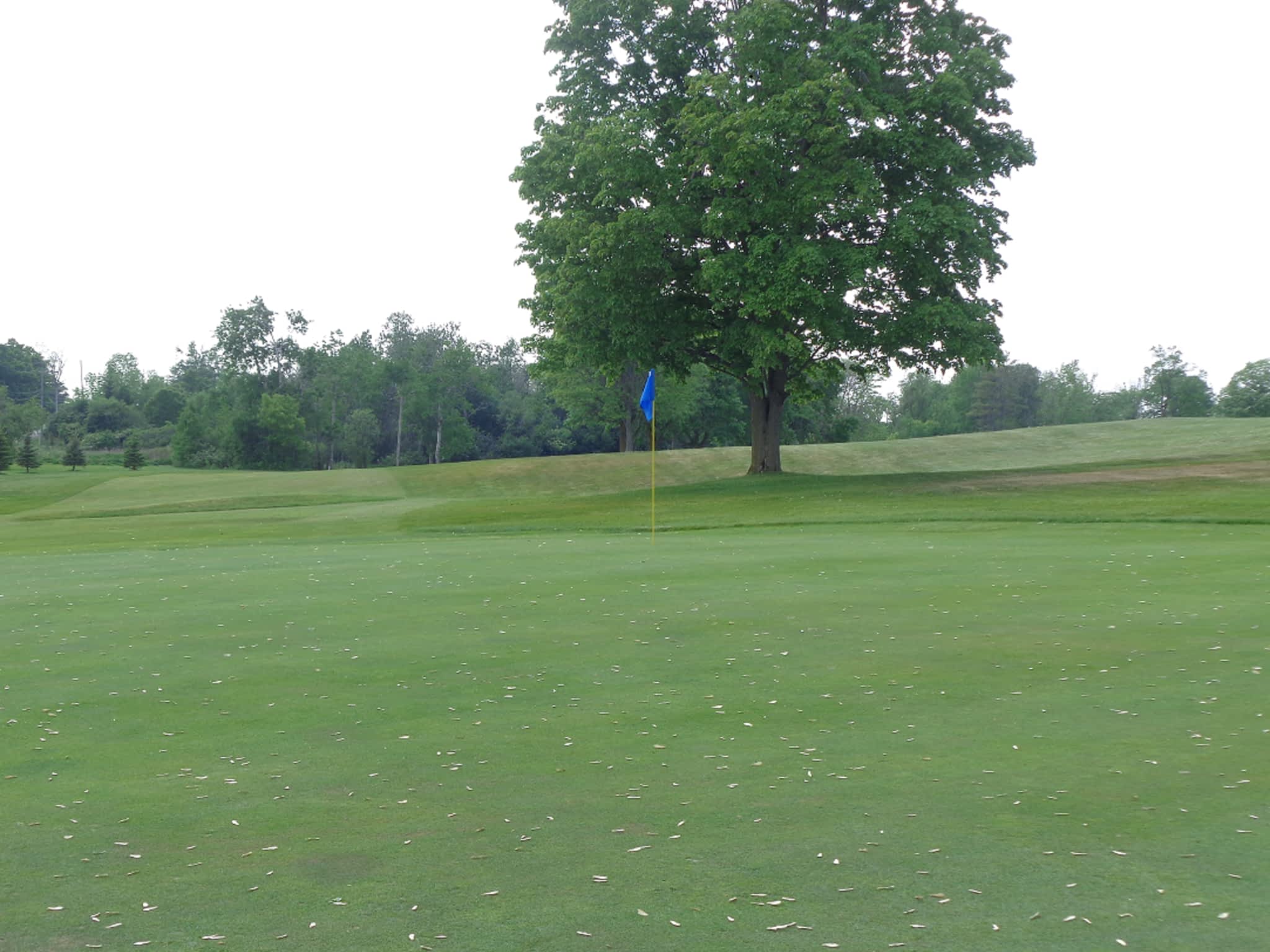 photo Beige Interactive