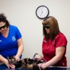 Gander Veterinary Clinic - Vétérinaires