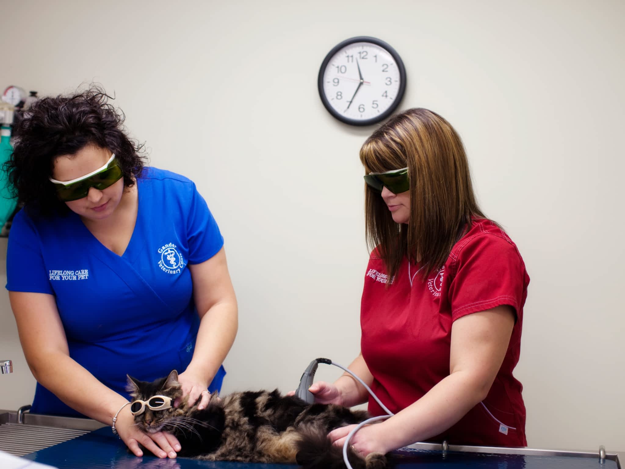 photo Gander Veterinary Clinic