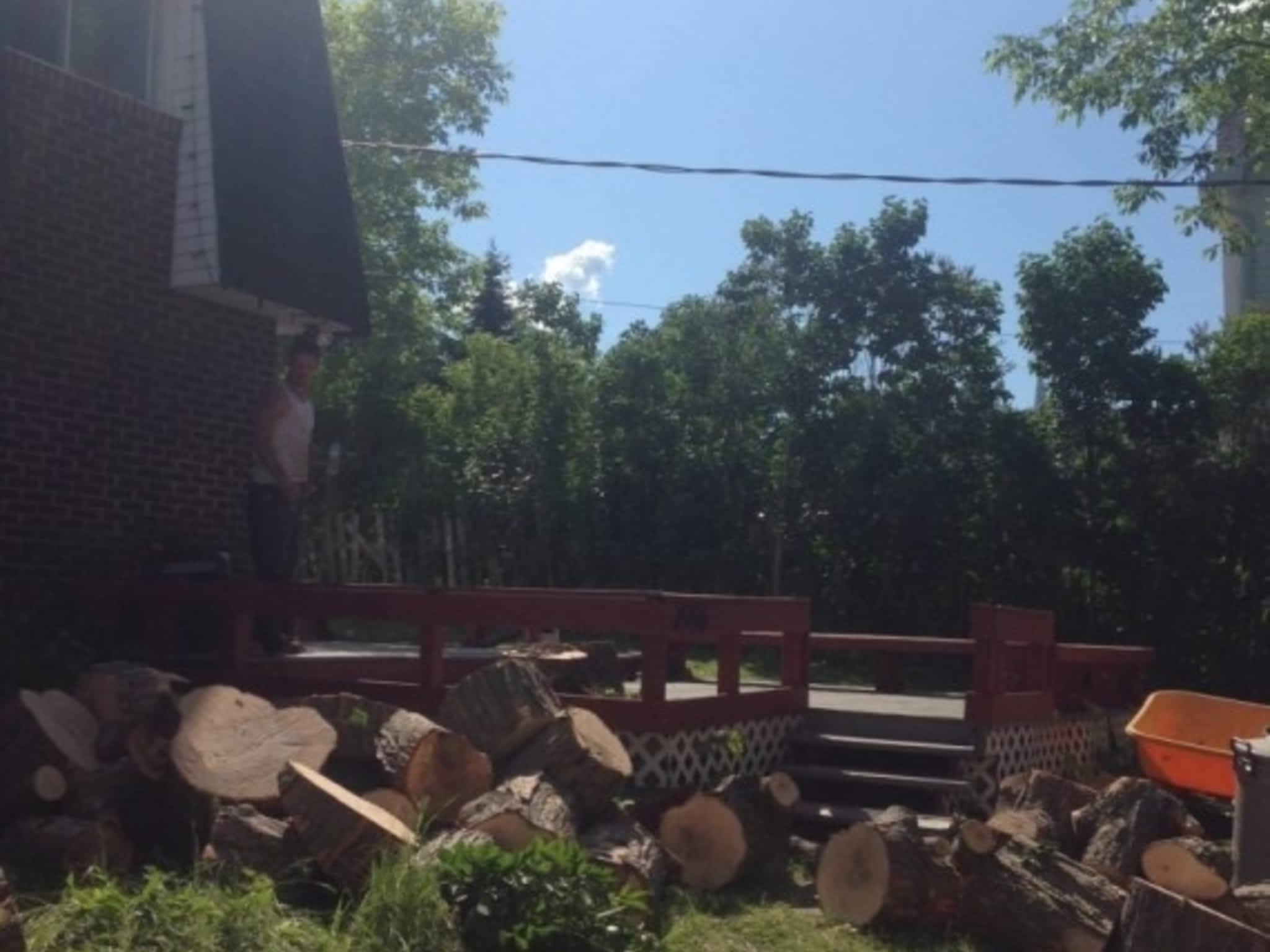 photo Ascend Tree Services