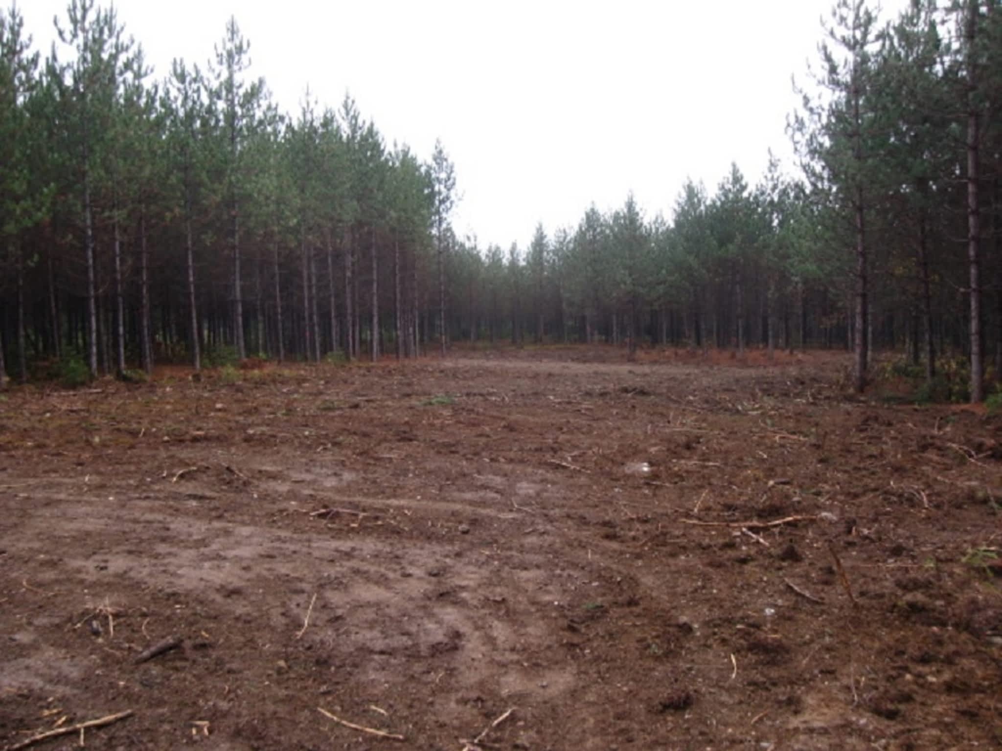 photo Galéo construction Inc