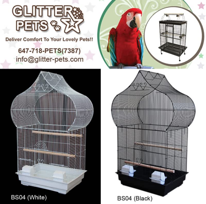 Glitter Pet Supplies Opening Hours 190 Britannia Road East