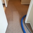Carpet Wizard - Carpet & Rug Cleaning