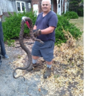 Patrick Enterprises Canada - Service de capture d'animaux