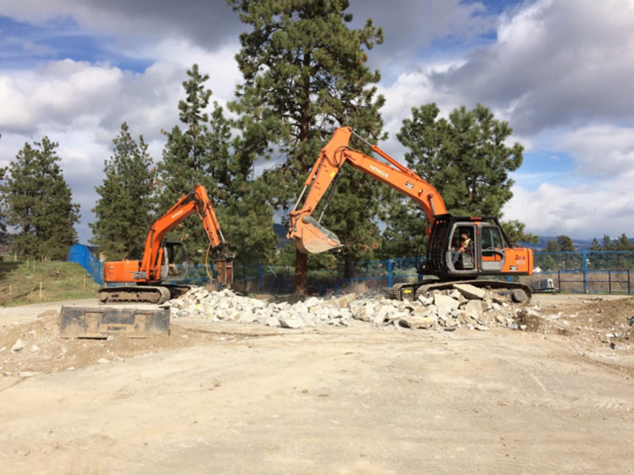 photo T-Rex Excavating & Demolition