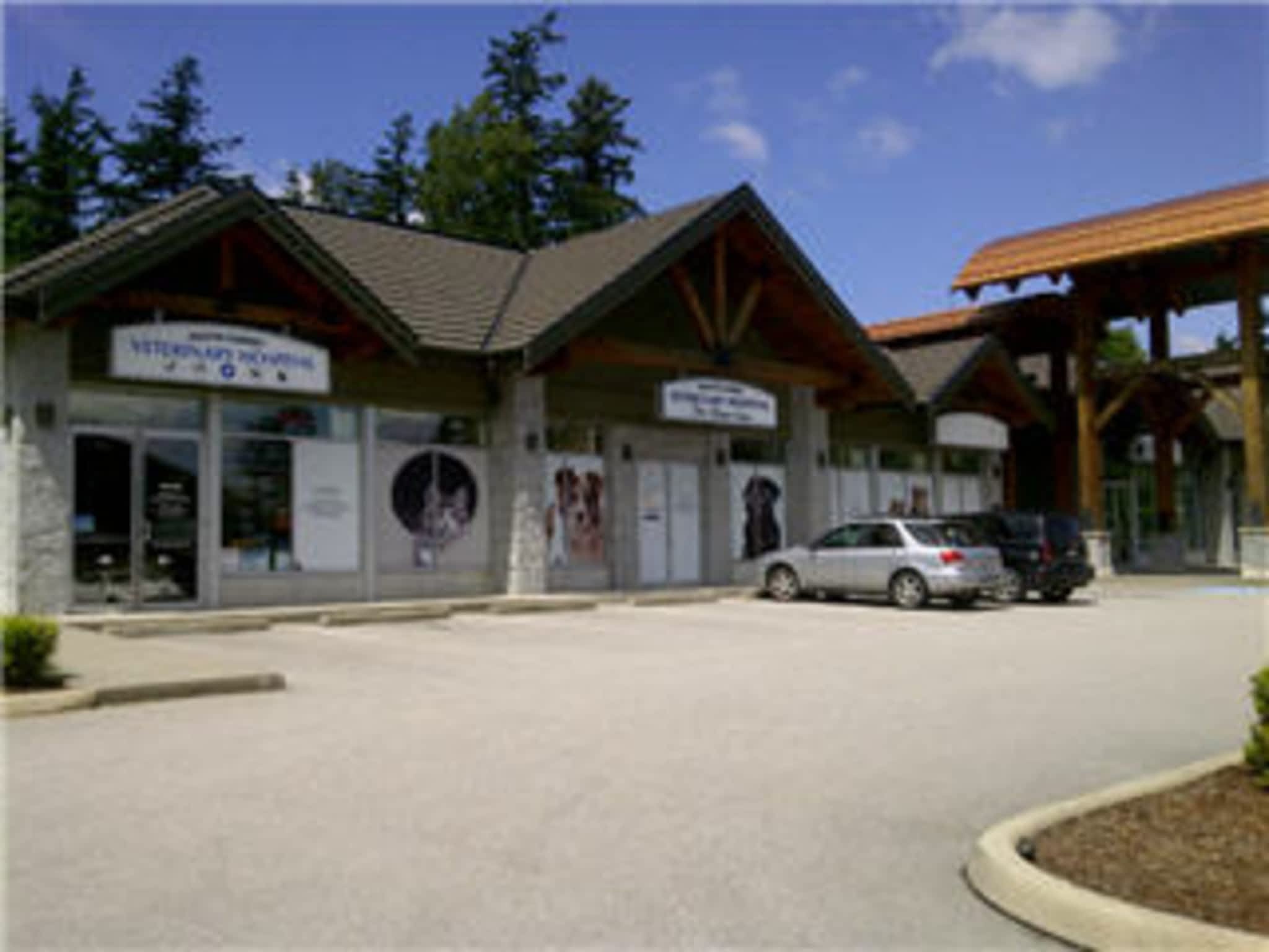 photo South Surrey Veterinary Hospital