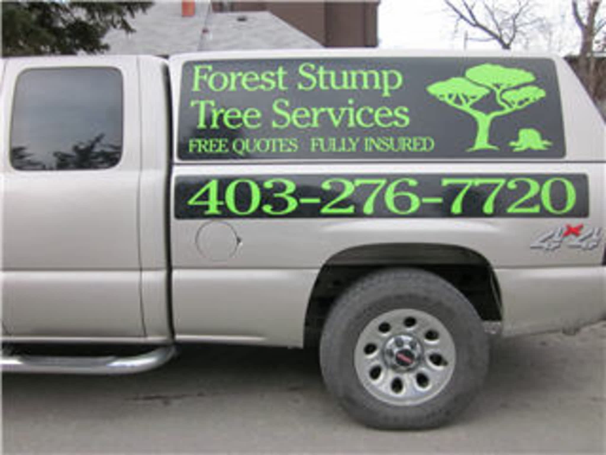 photo Forest Stump Tree Service