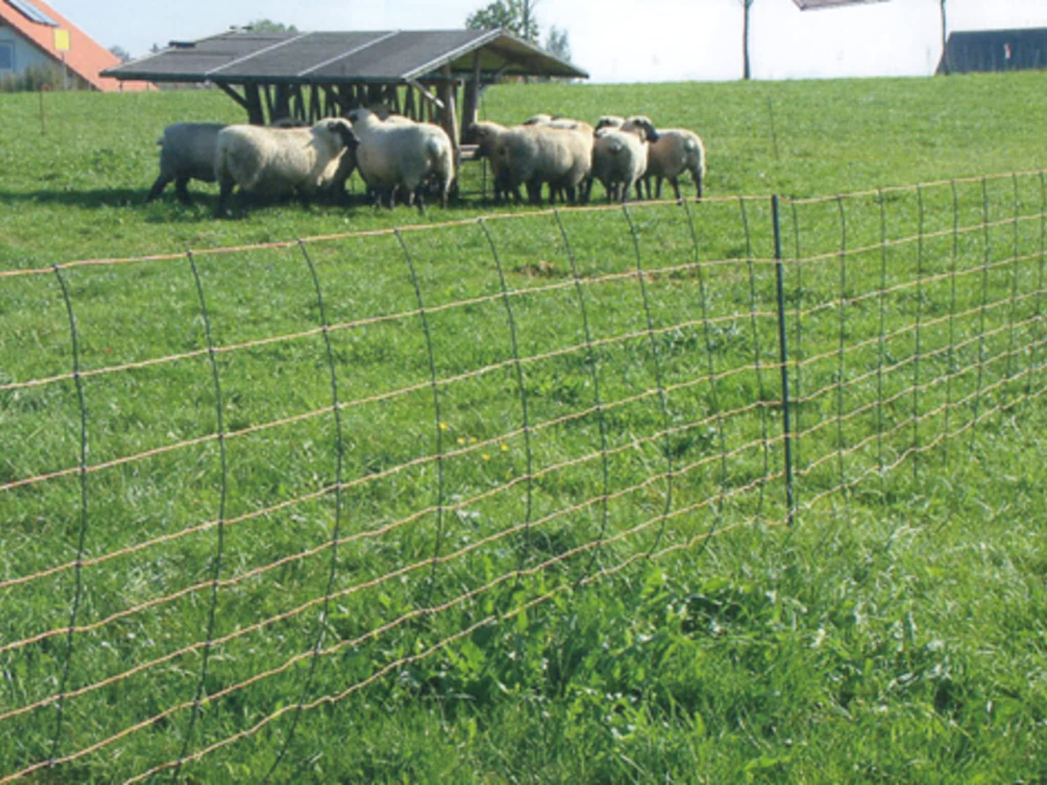 photo Ferris Farms & Fencing