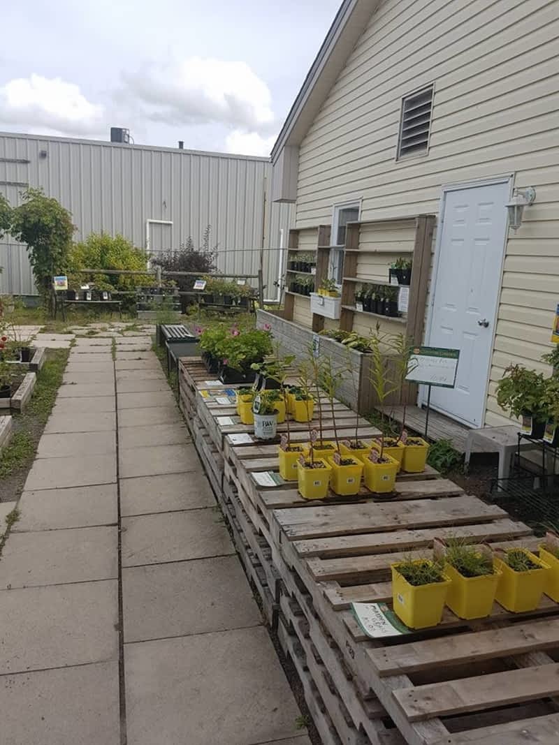 Coop Country Store Moncton, NB 200 Collishaw St Canpages