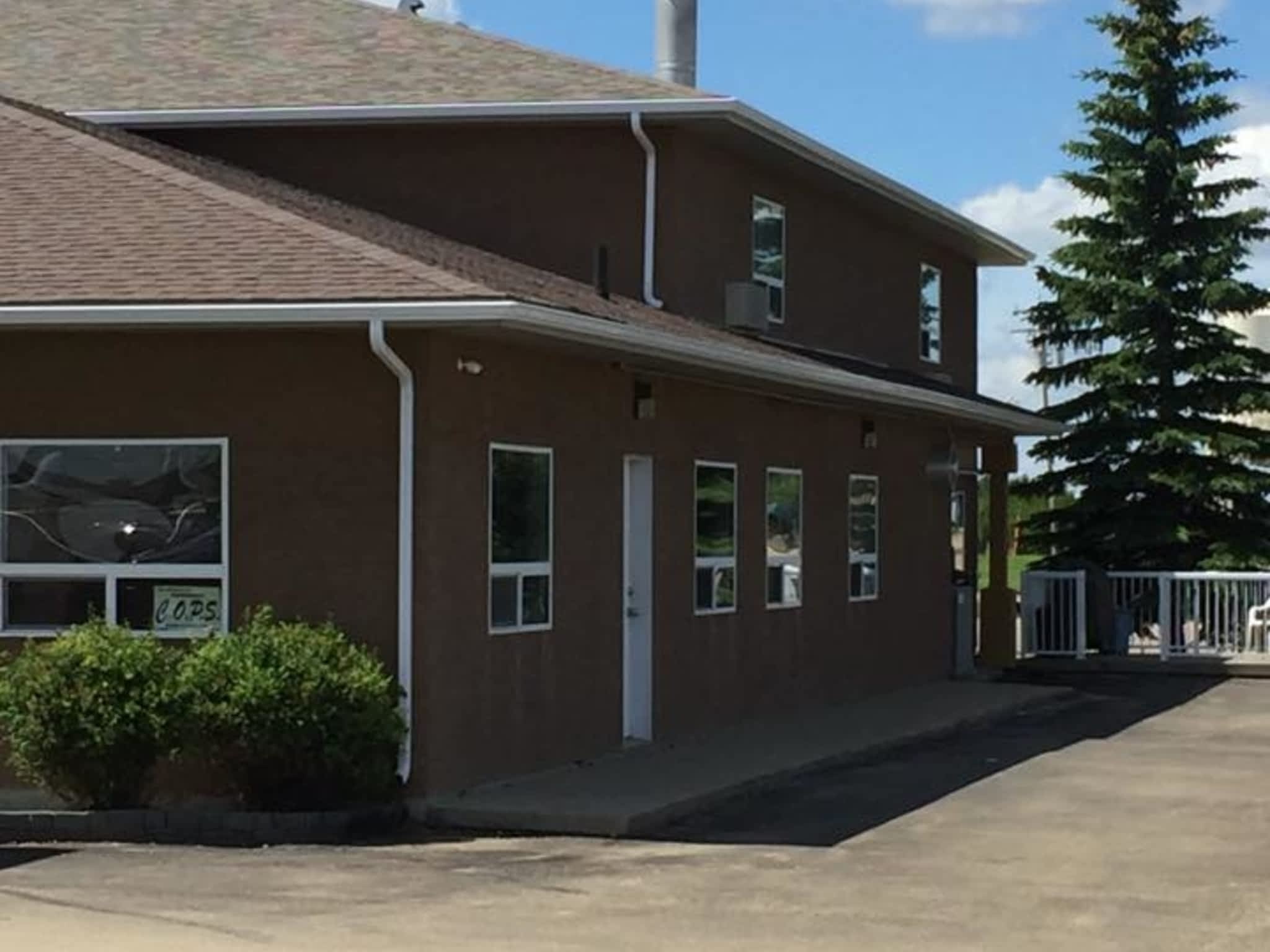 photo Viper Insulation and Eavestroughing