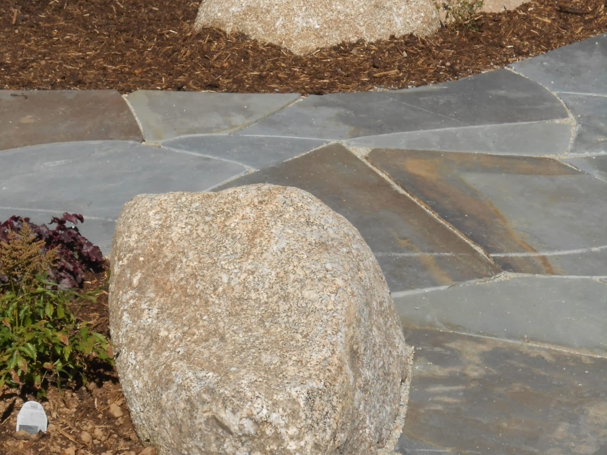 photo Deep Ocean Landscape Design