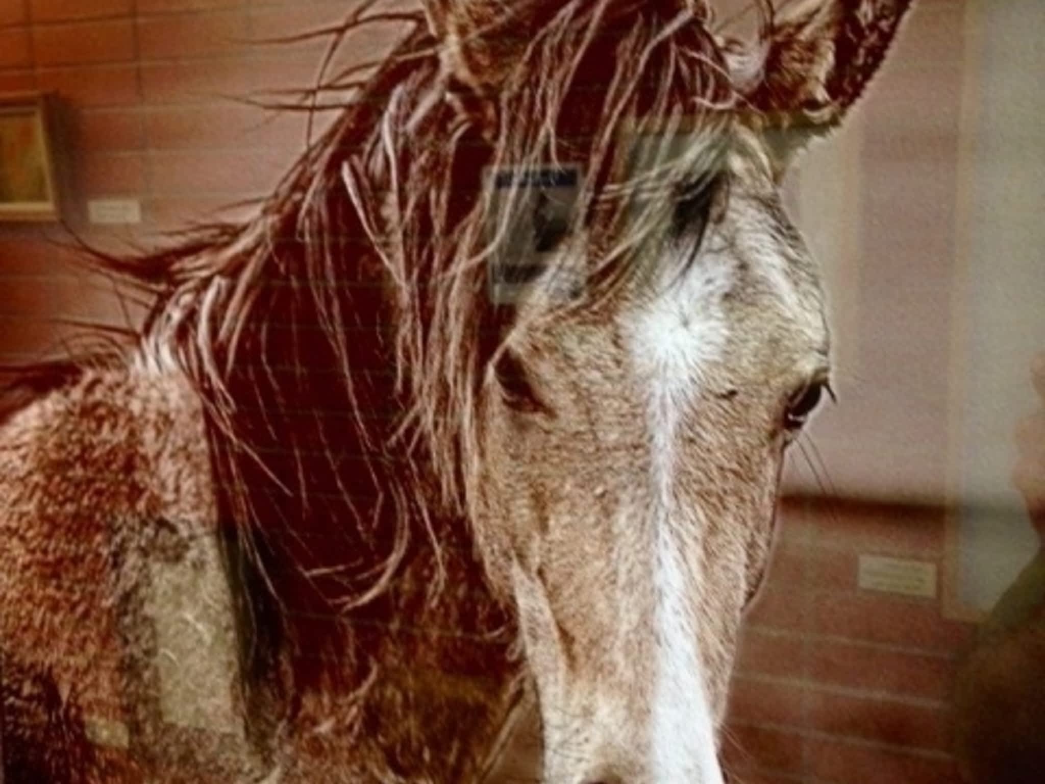 photo The Frame It Store