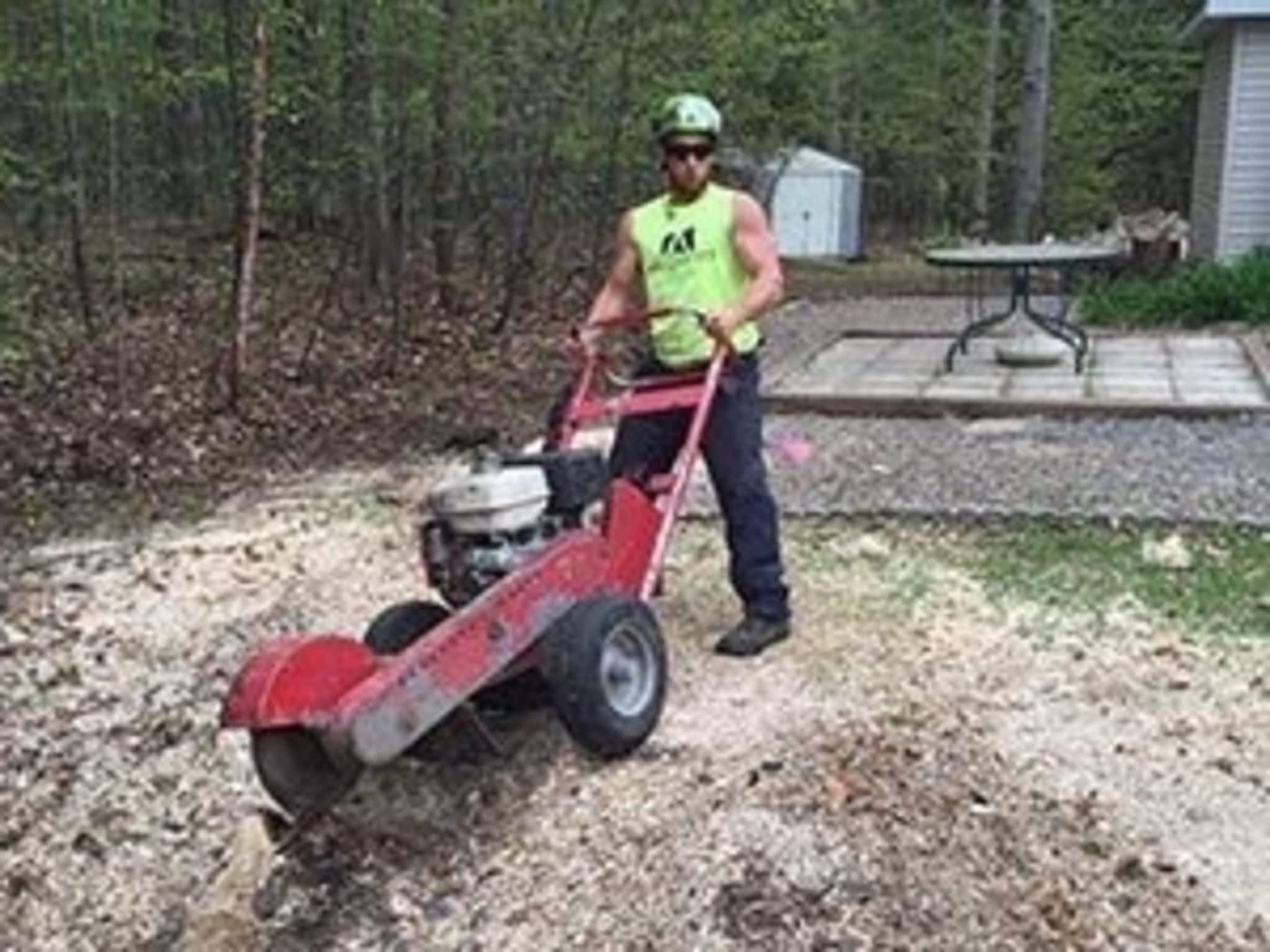 photo Ascend Tree Services