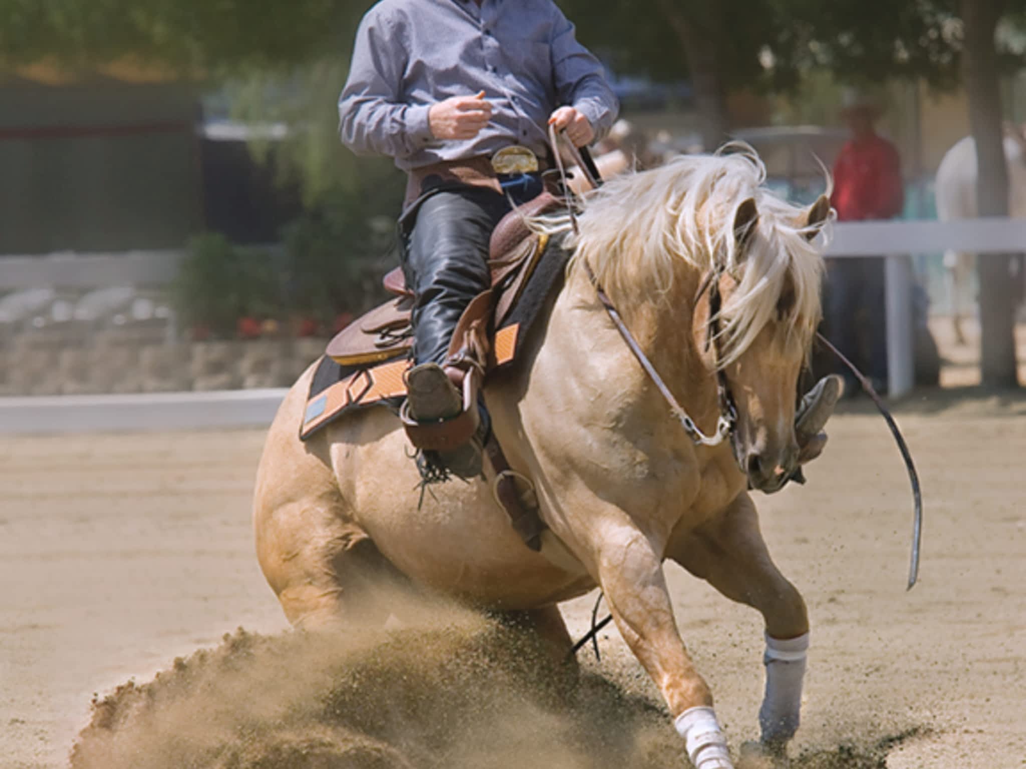 photo Forsyth Ranch Arena