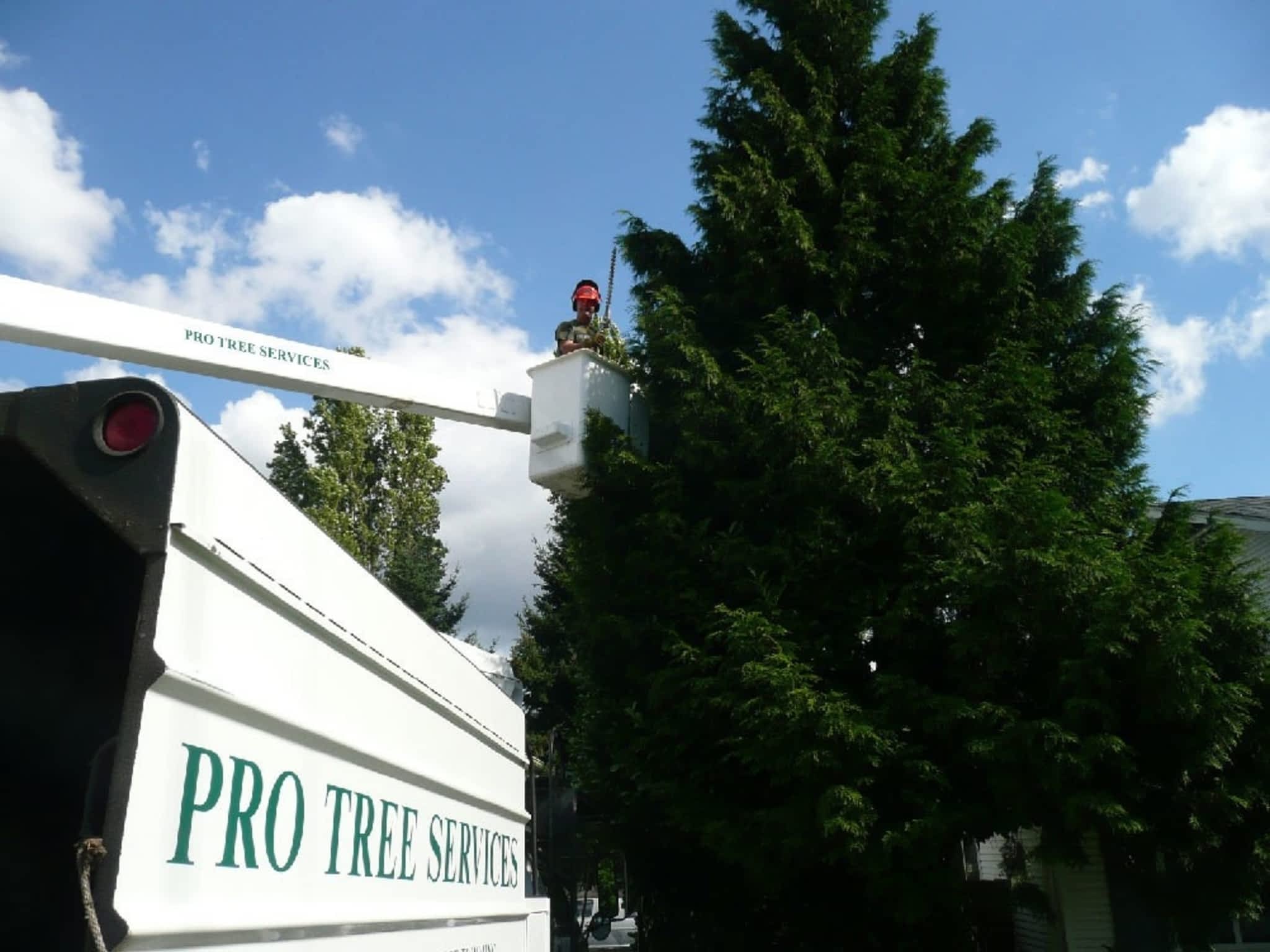 photo Pro Tree Services