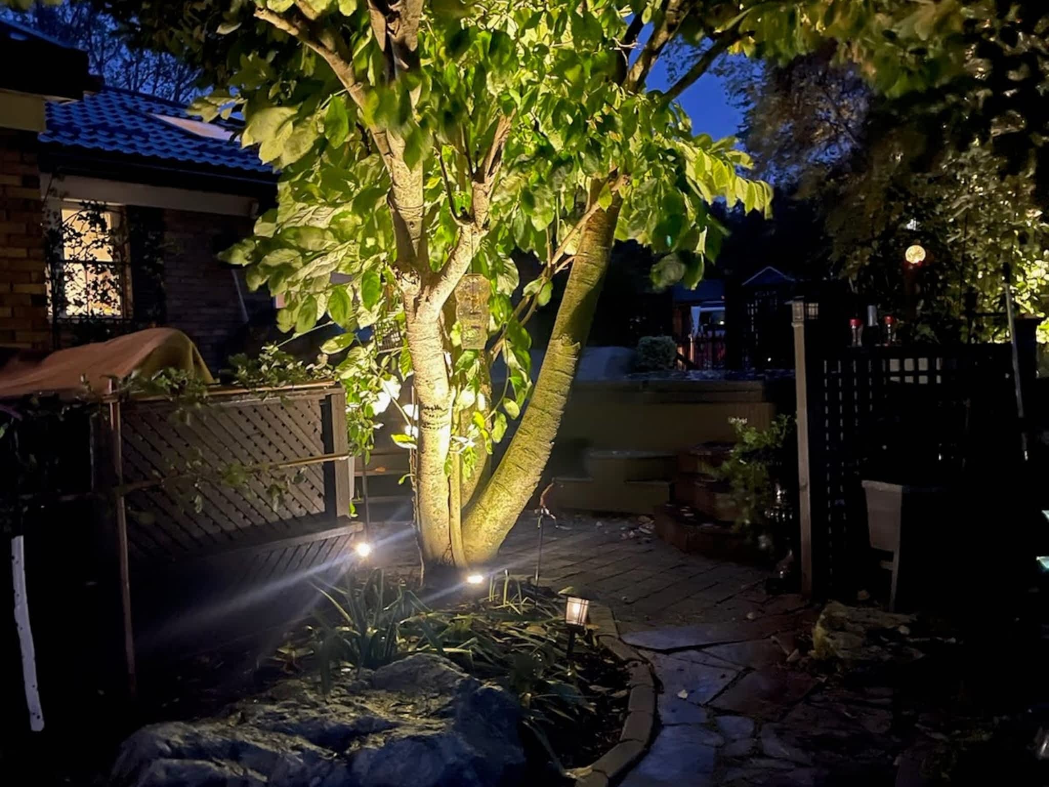 photo Toro Maintenance