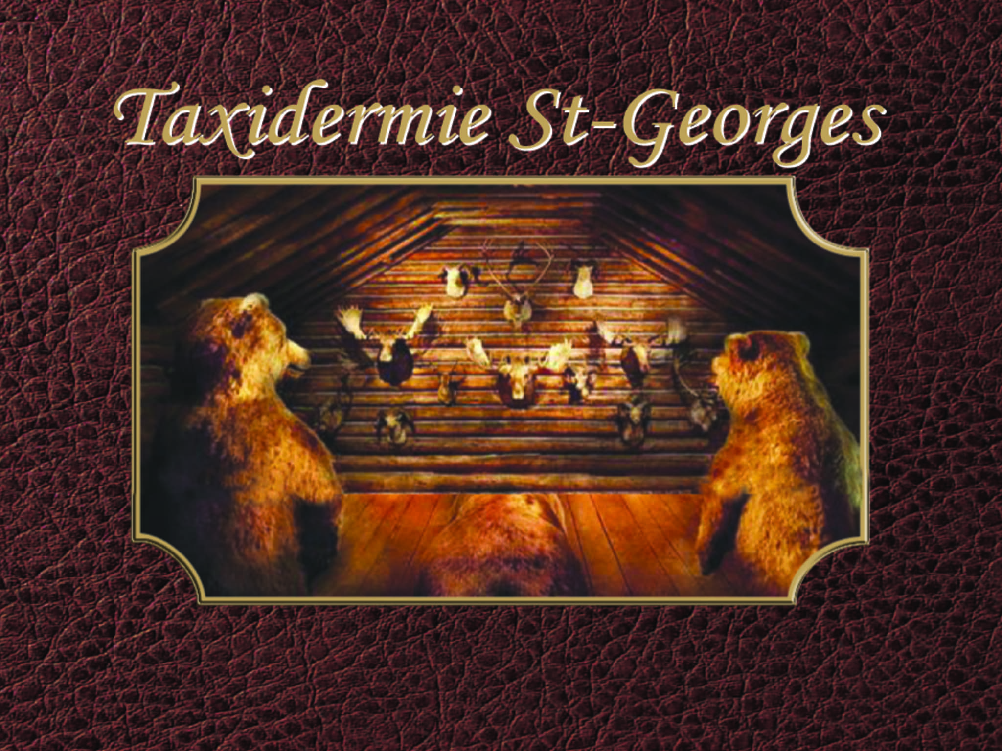 photo Taxidermie St-Georges