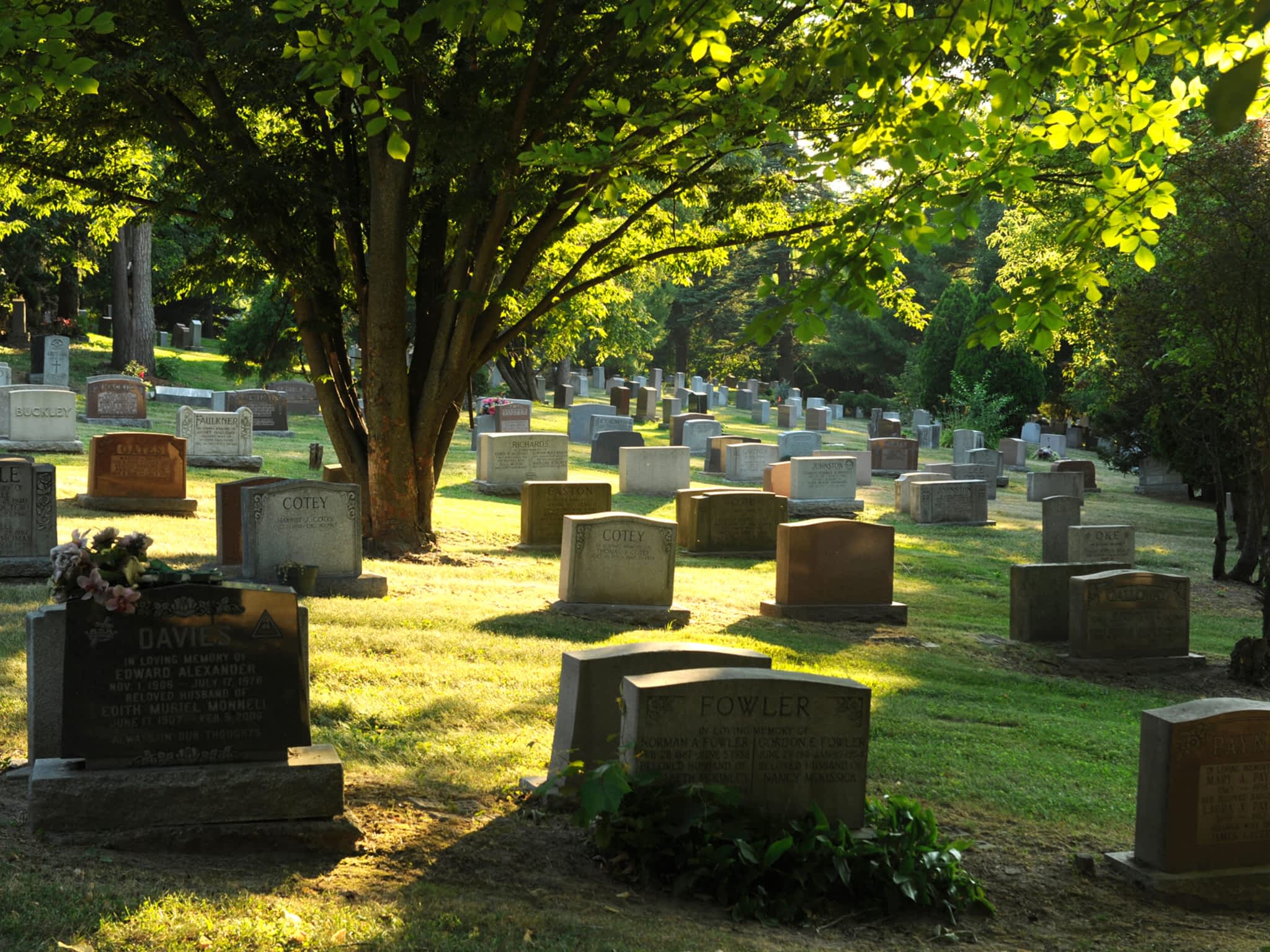 photo Prospect Cemetery