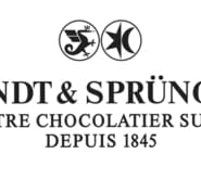 Ampersand Pintuck Sham Chocolate Euro Brown – Liquidation Nation