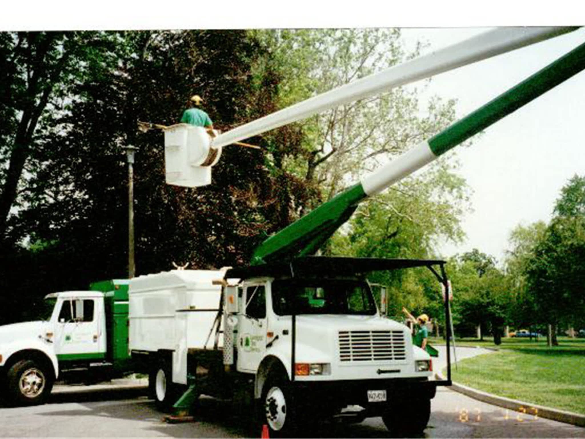 photo Landgraff Tree Service