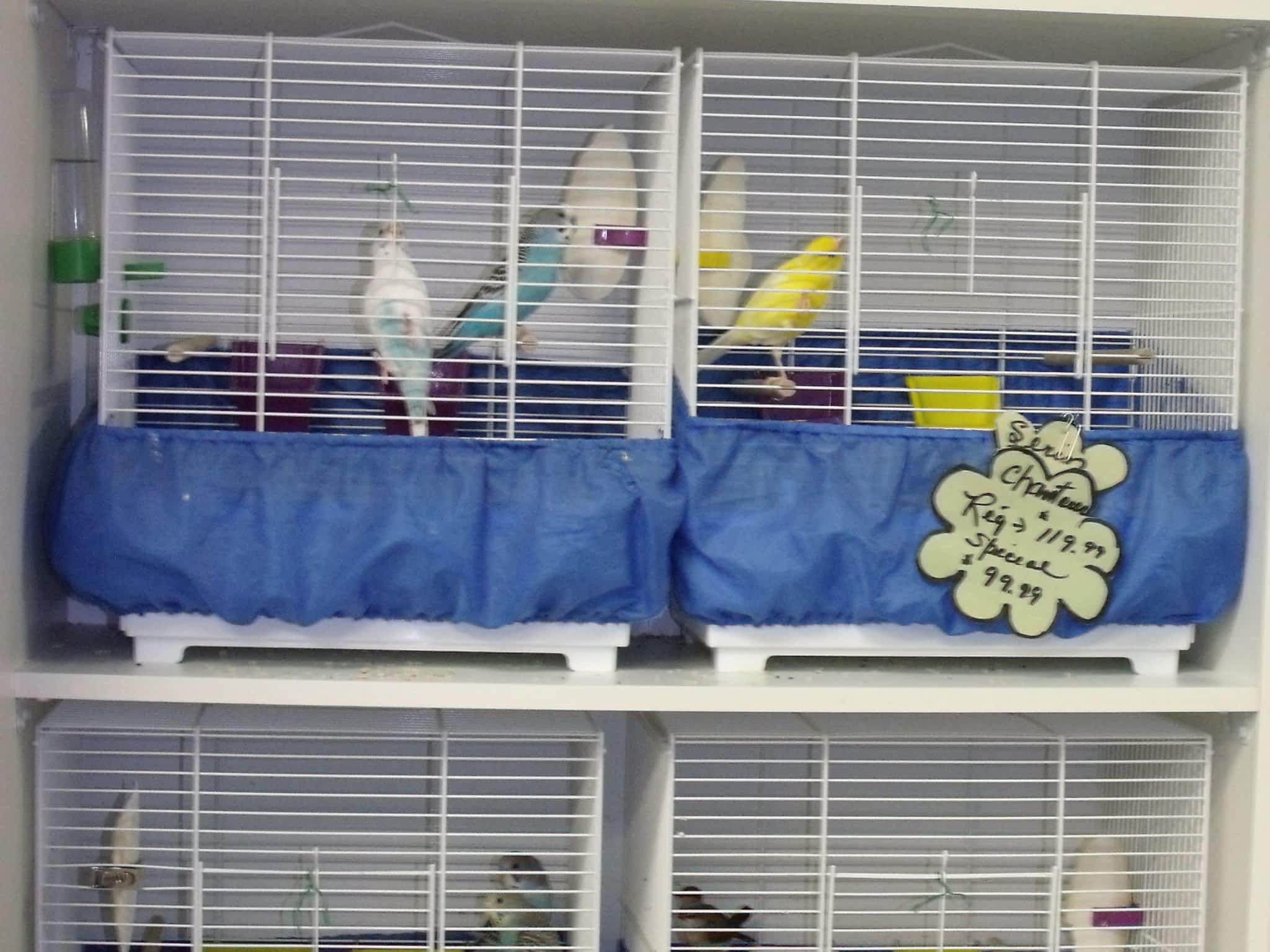 Animalerie Le Village BSP BaieSaintPaul, QC 2 Ch De L'Équerre