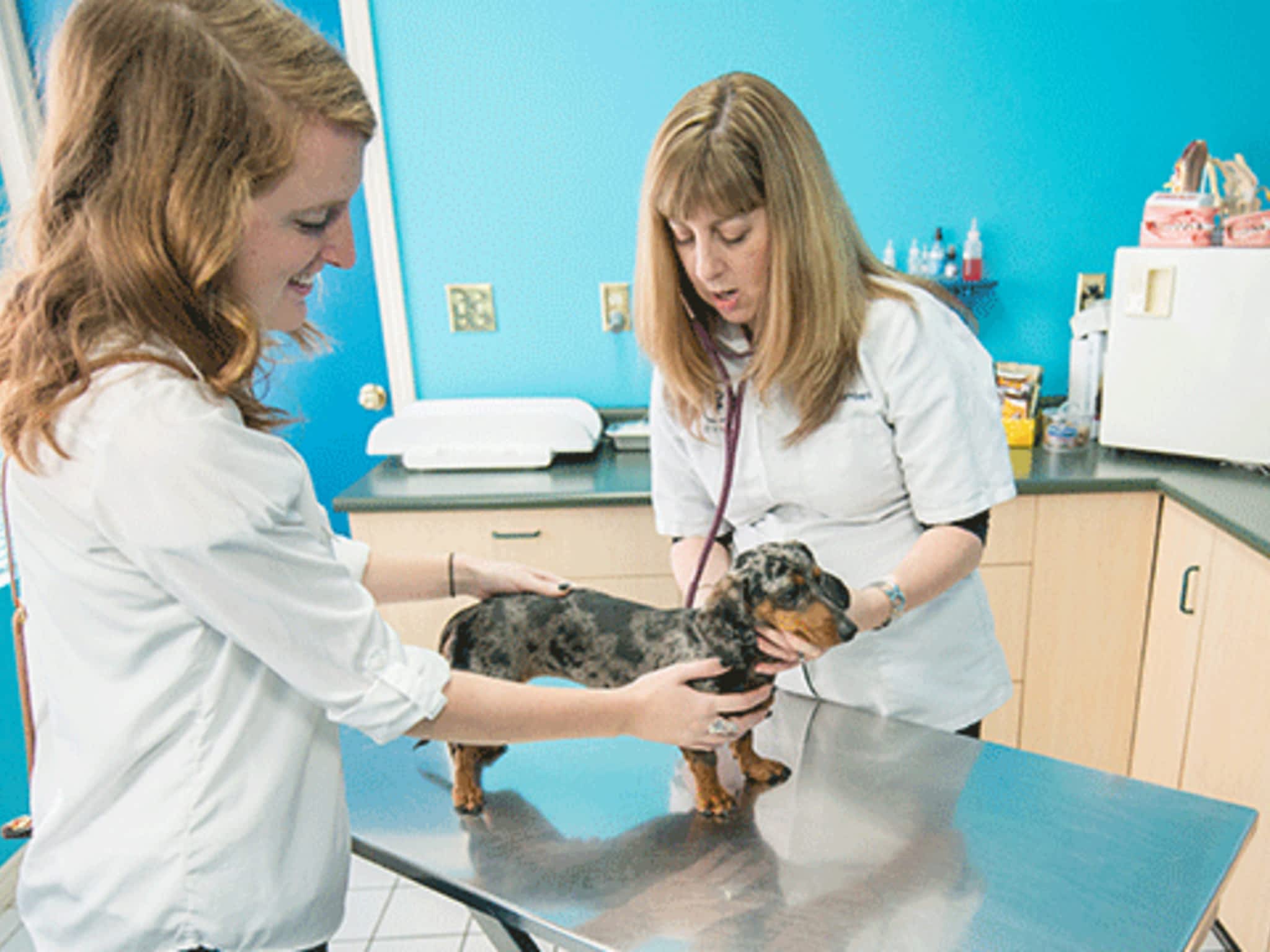 photo Royal Oak Pet Clinic