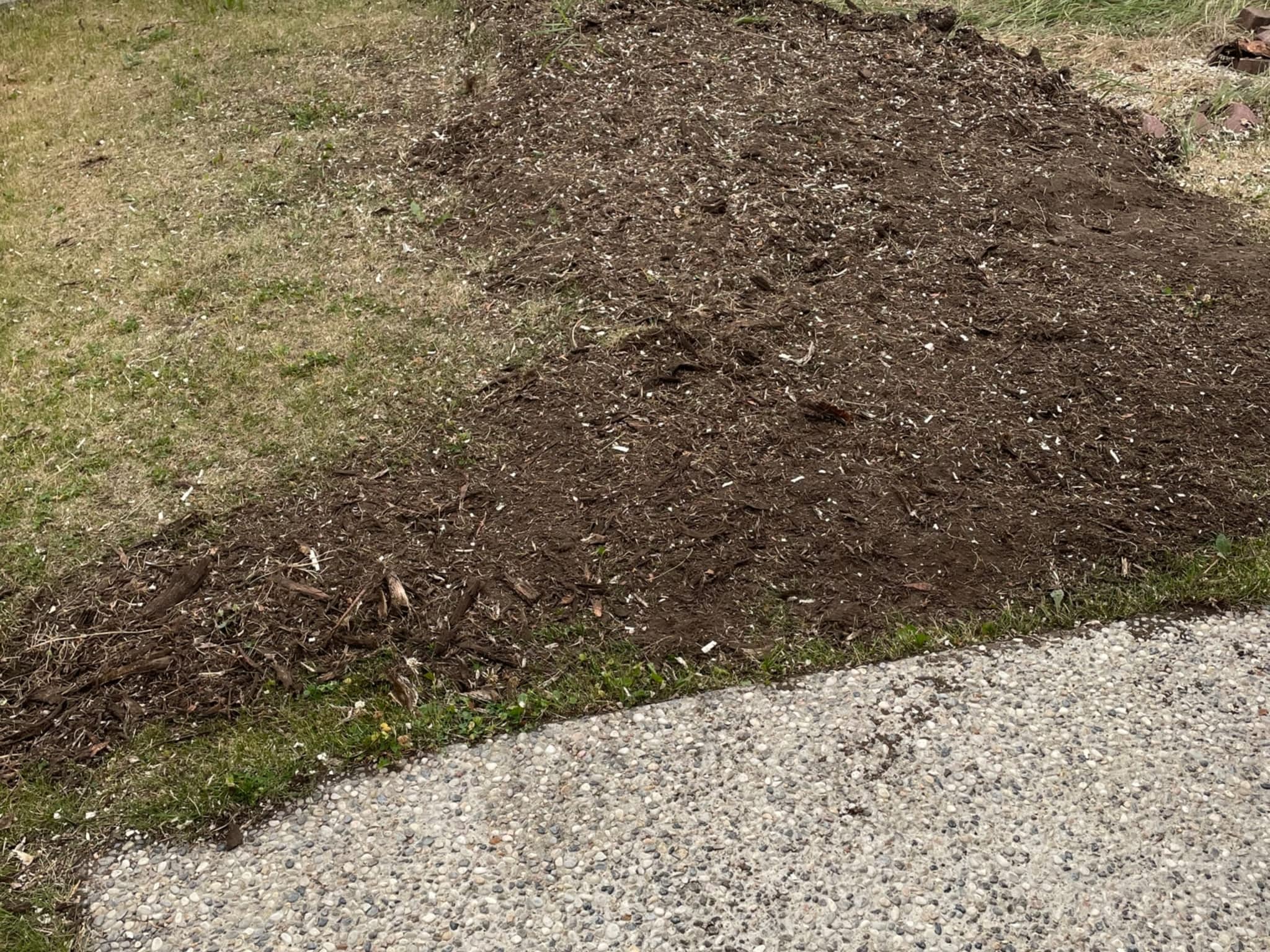 photo Grindpro tree stump grinding