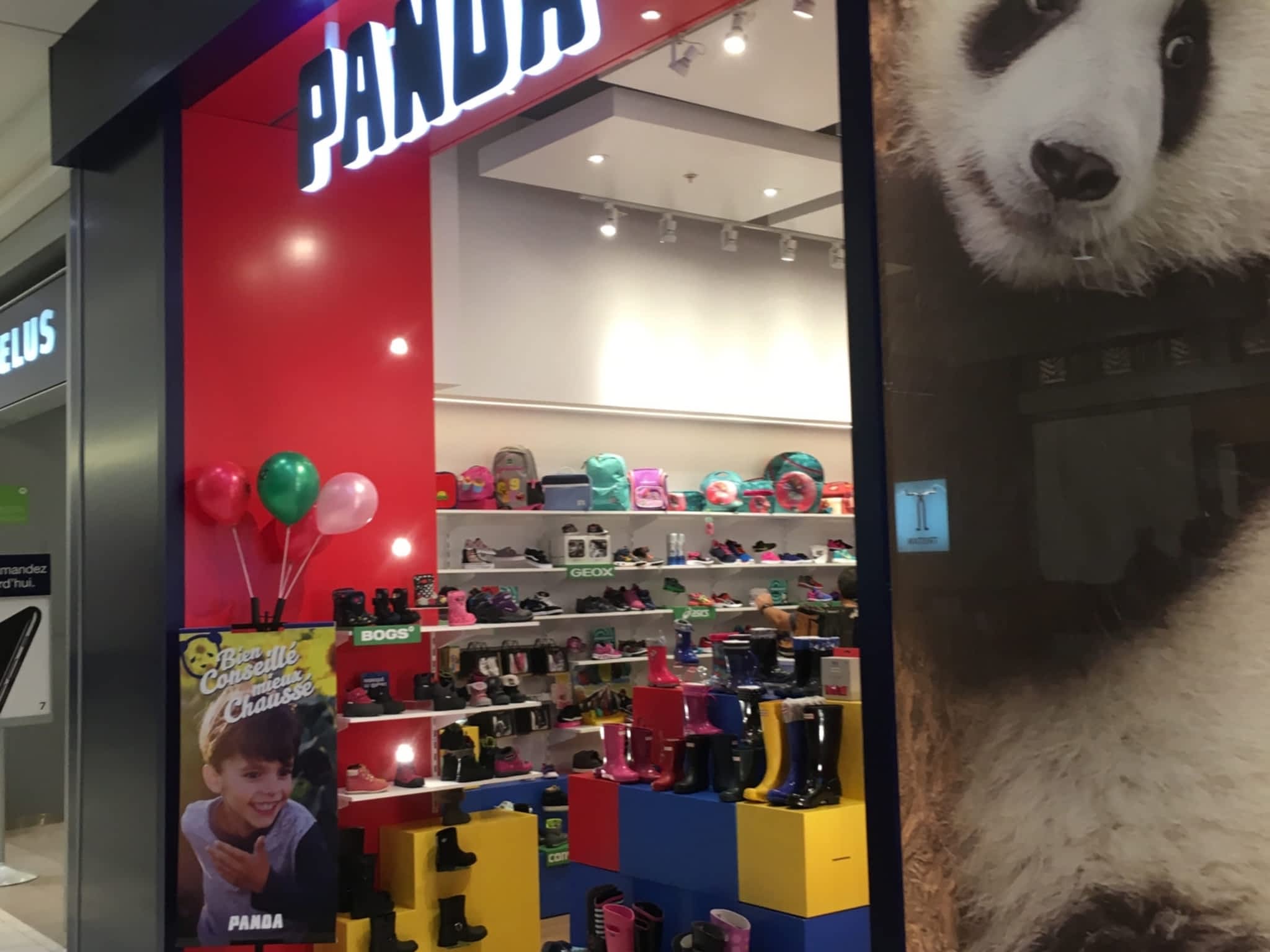 photo Chaussures Panda Inc