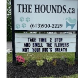 Voir le profil de The Hounds - Dunrobin