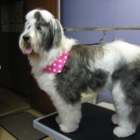 Aux P'Tits Soins - Pet Grooming, Clipping & Washing