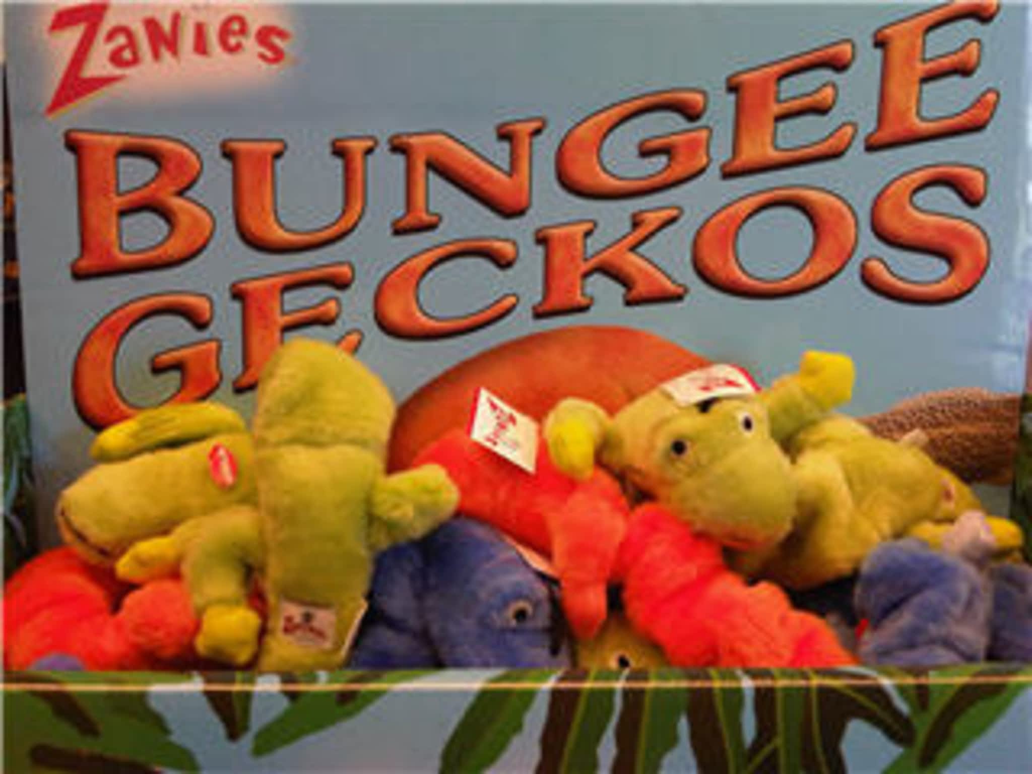 photo Middleton Veterinary Services