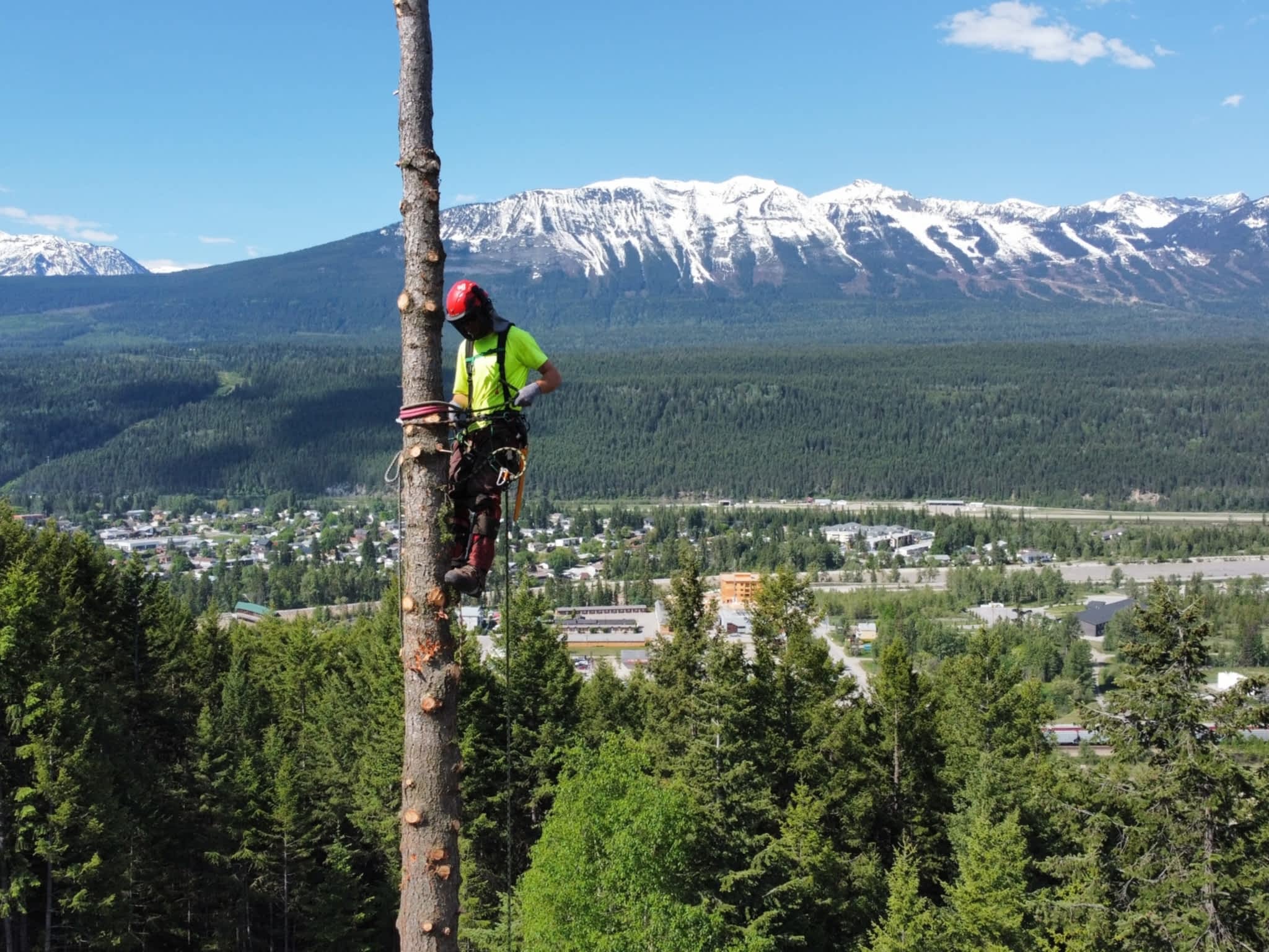 photo Green Leaf Tree Services