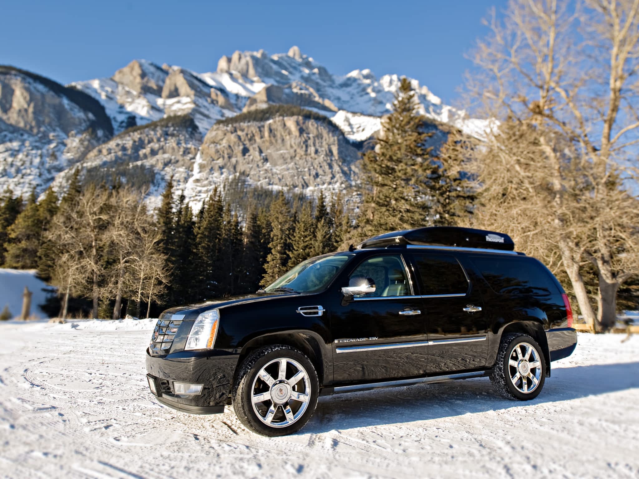 photo Alberta Limousine Service