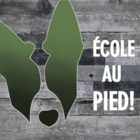 École Au Pied - Dog Training & Pet Obedience Schools