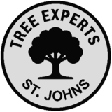 Tree Experts - Tree Service