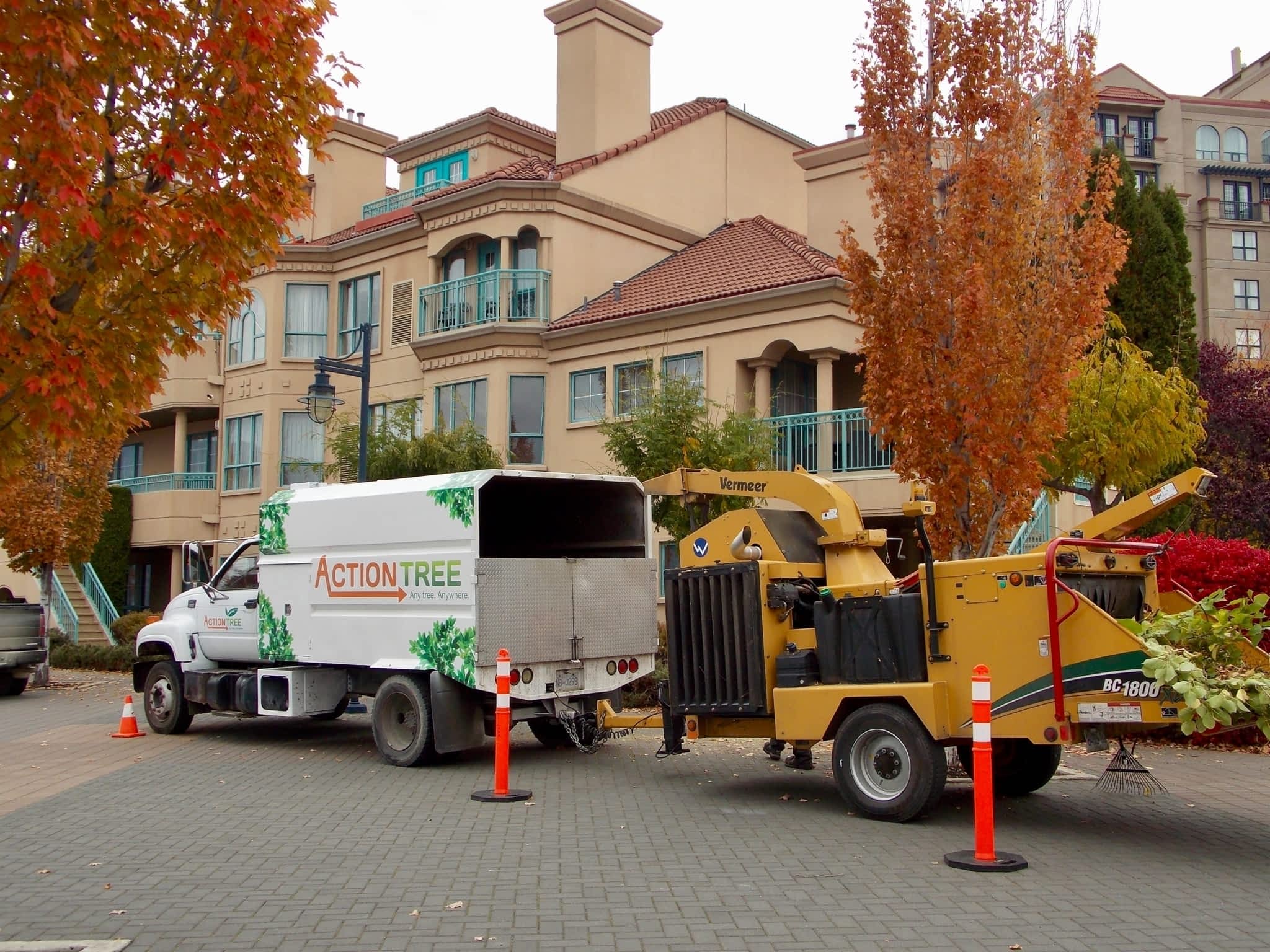 photo Action Tree Service