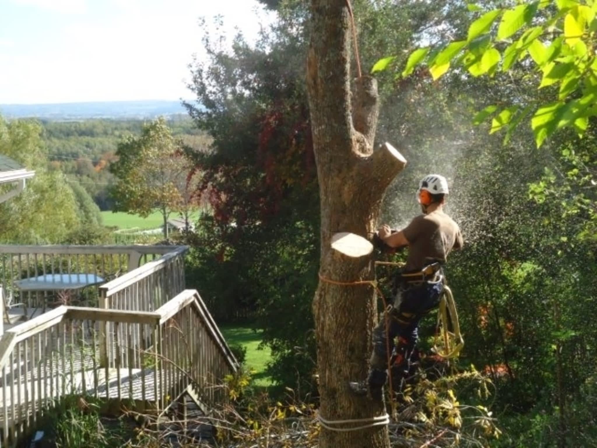 photo Ground to Crown Tree Services