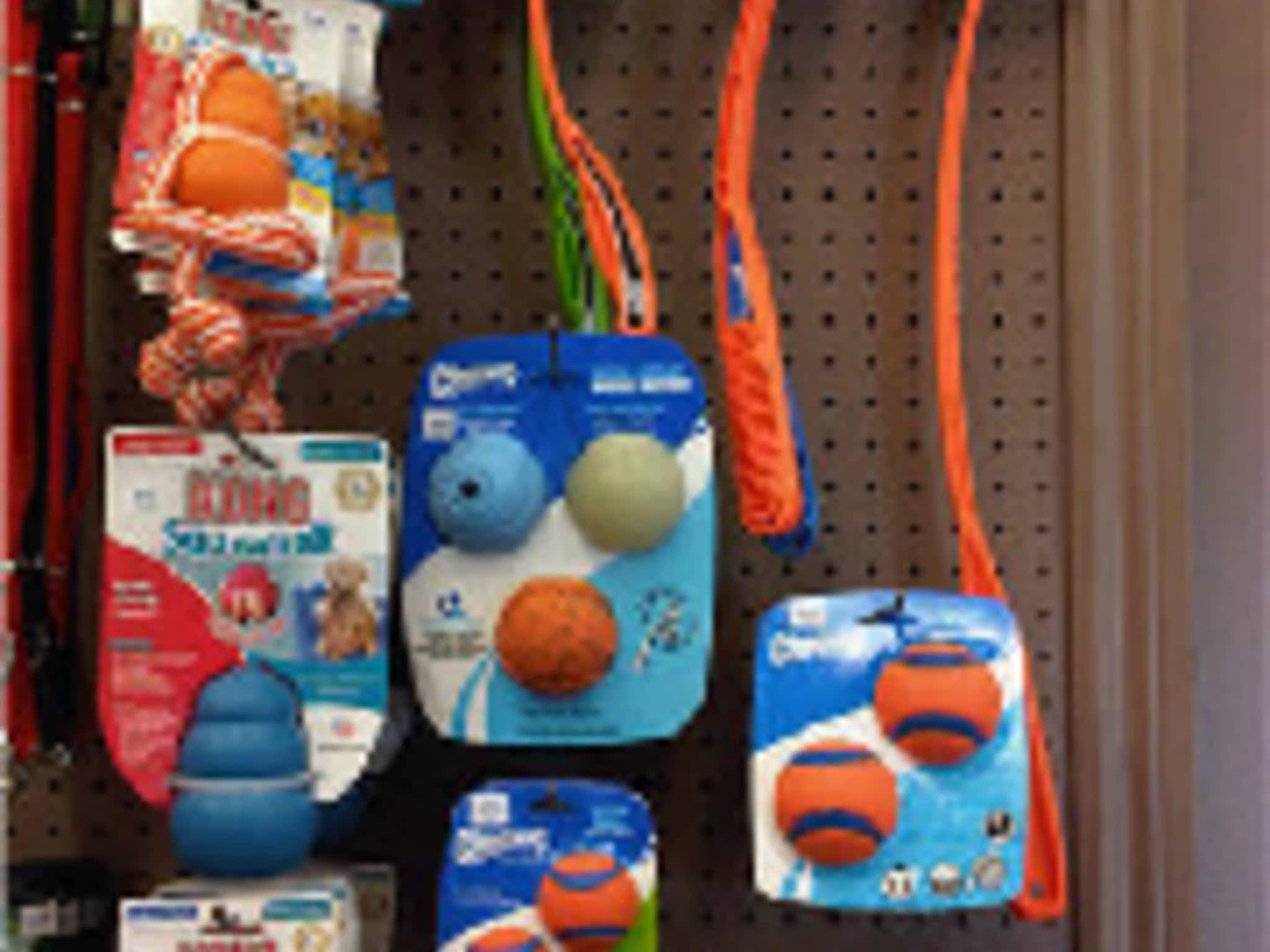 photo Middleton Veterinary Services