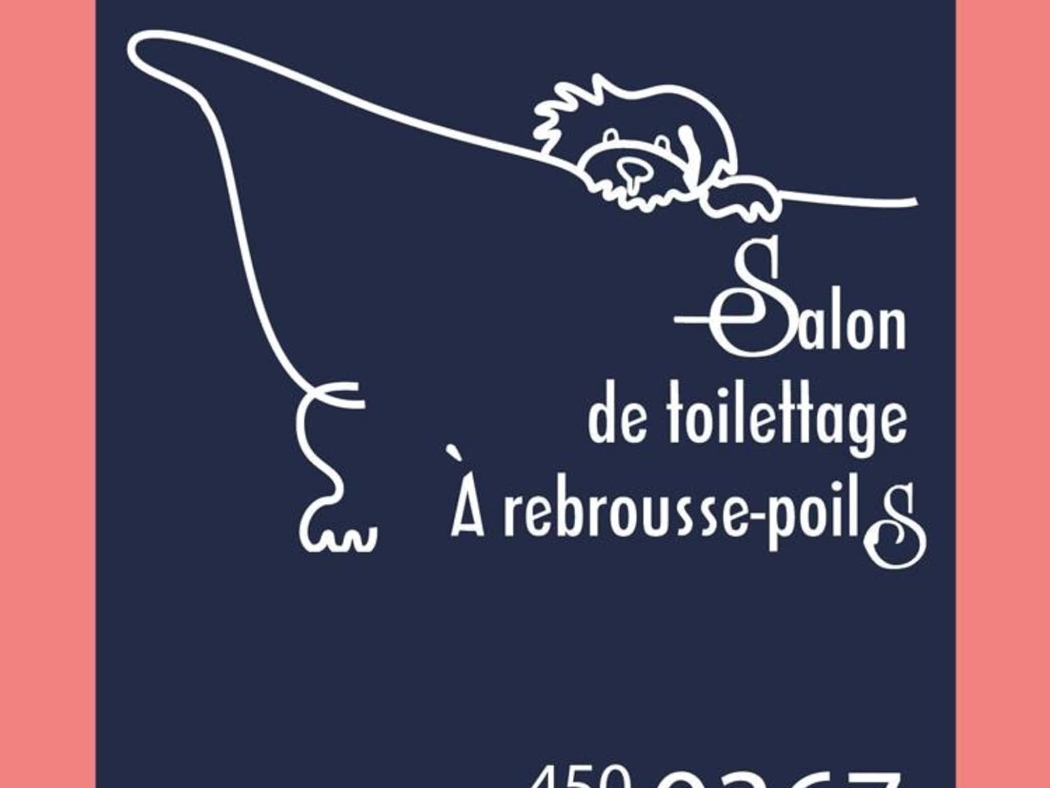 photo Salon de Toilettage à Rebrousse-Poils