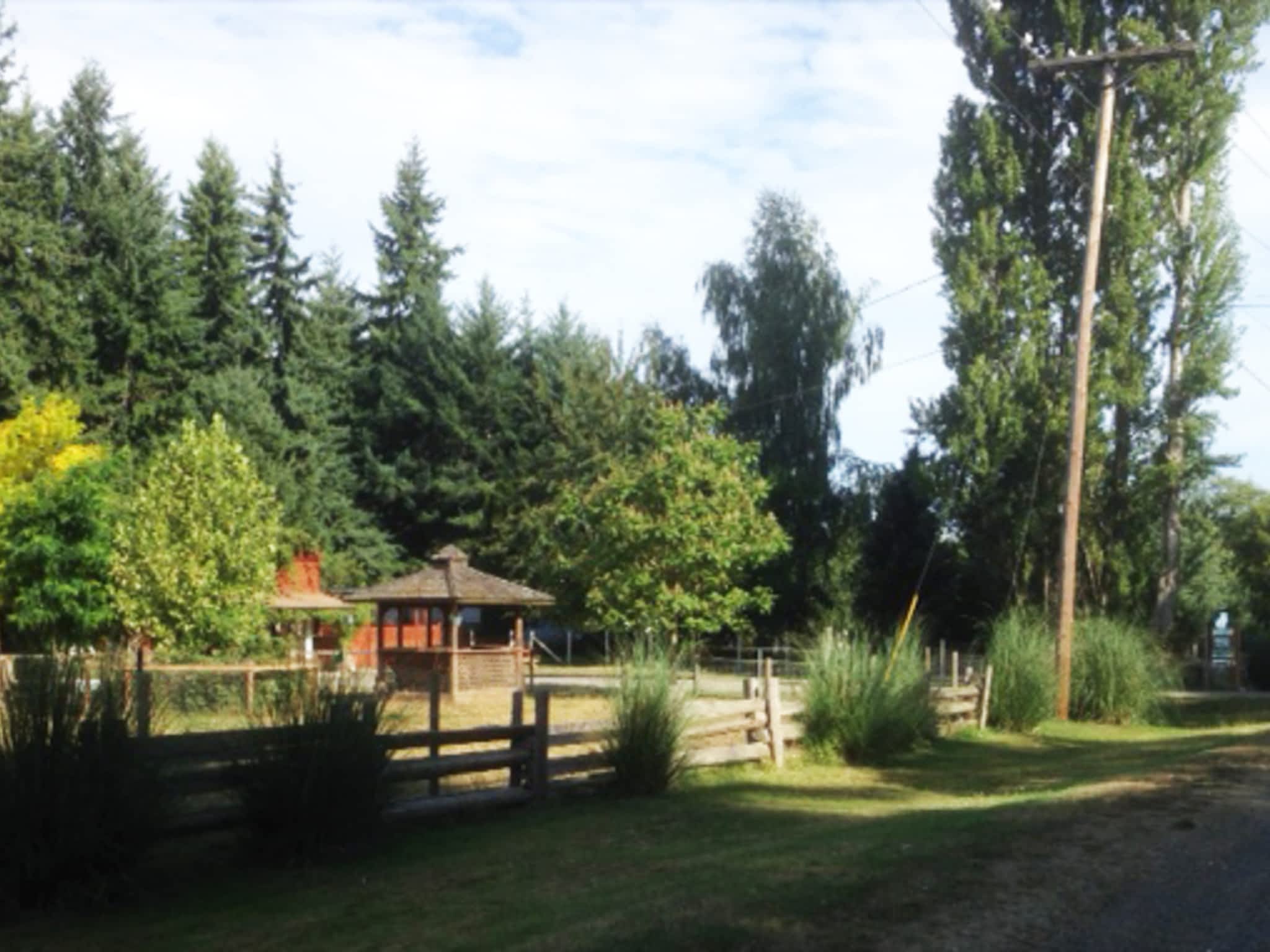 Comfy Cat Kennel Qualicum Beach, BC 5320 Island Hwy W Canpages