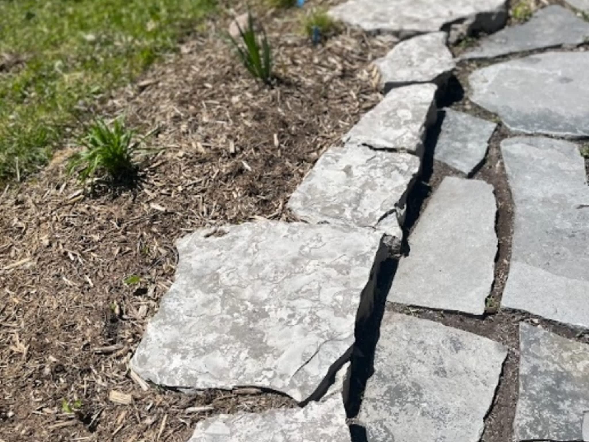 photo Primal Patch Landscaping