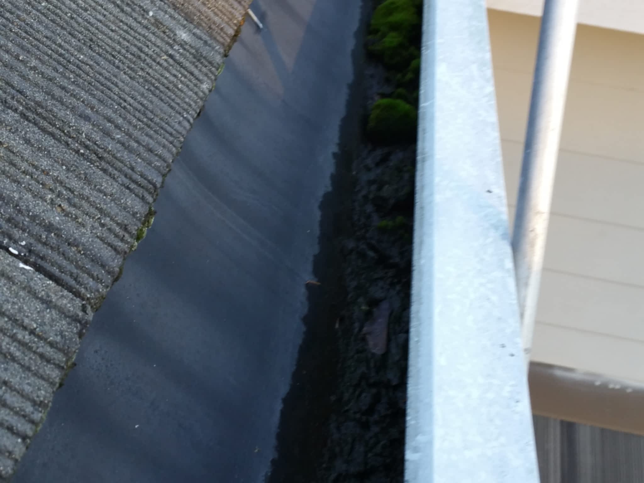 photo Spruce Up With Us