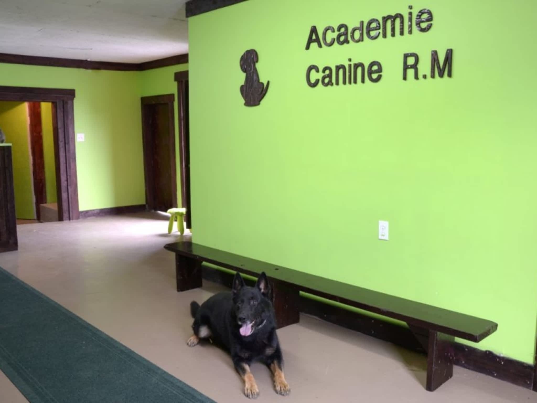 photo Academie Canine RM