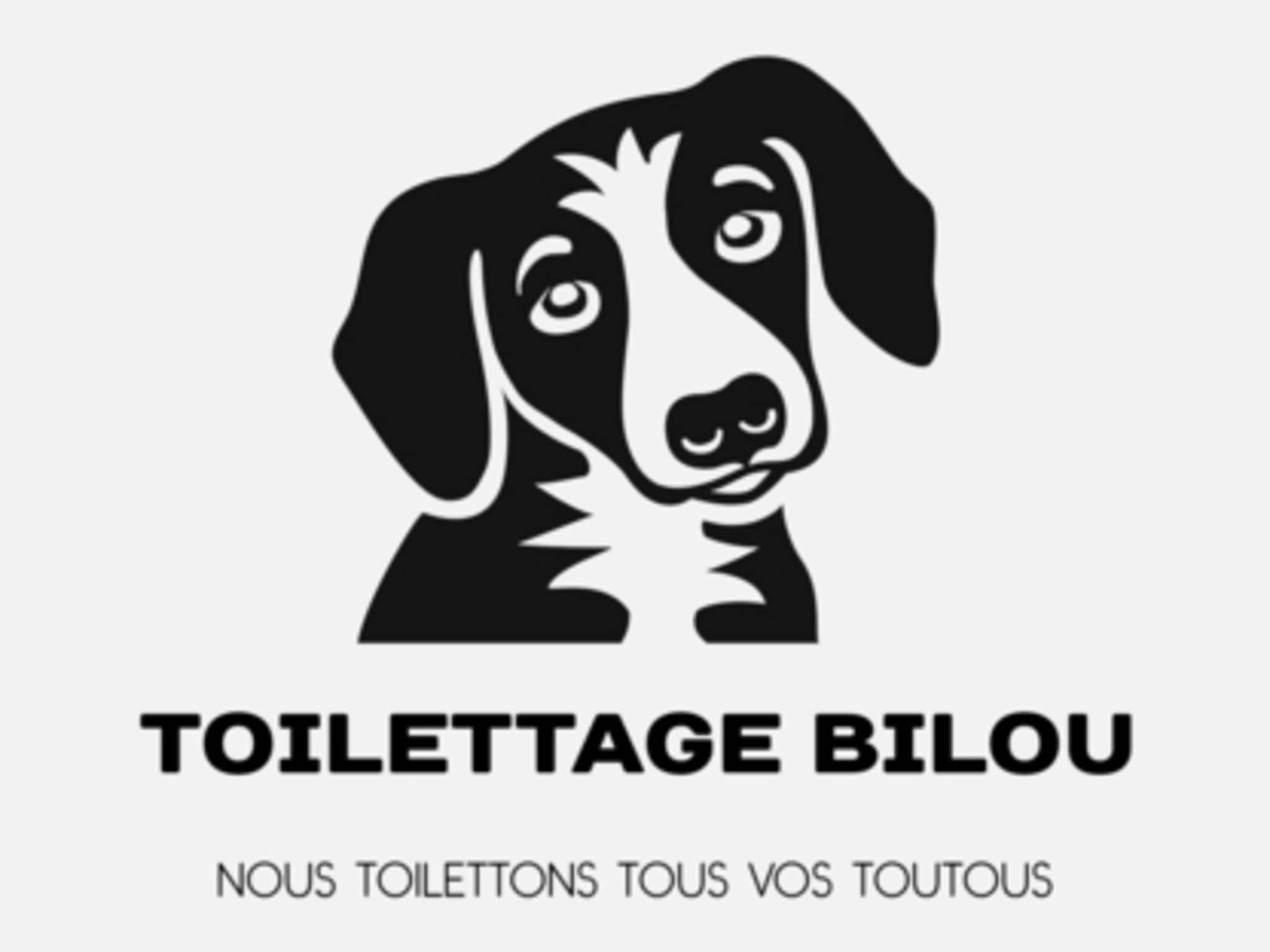 photo Toilettage Bilou