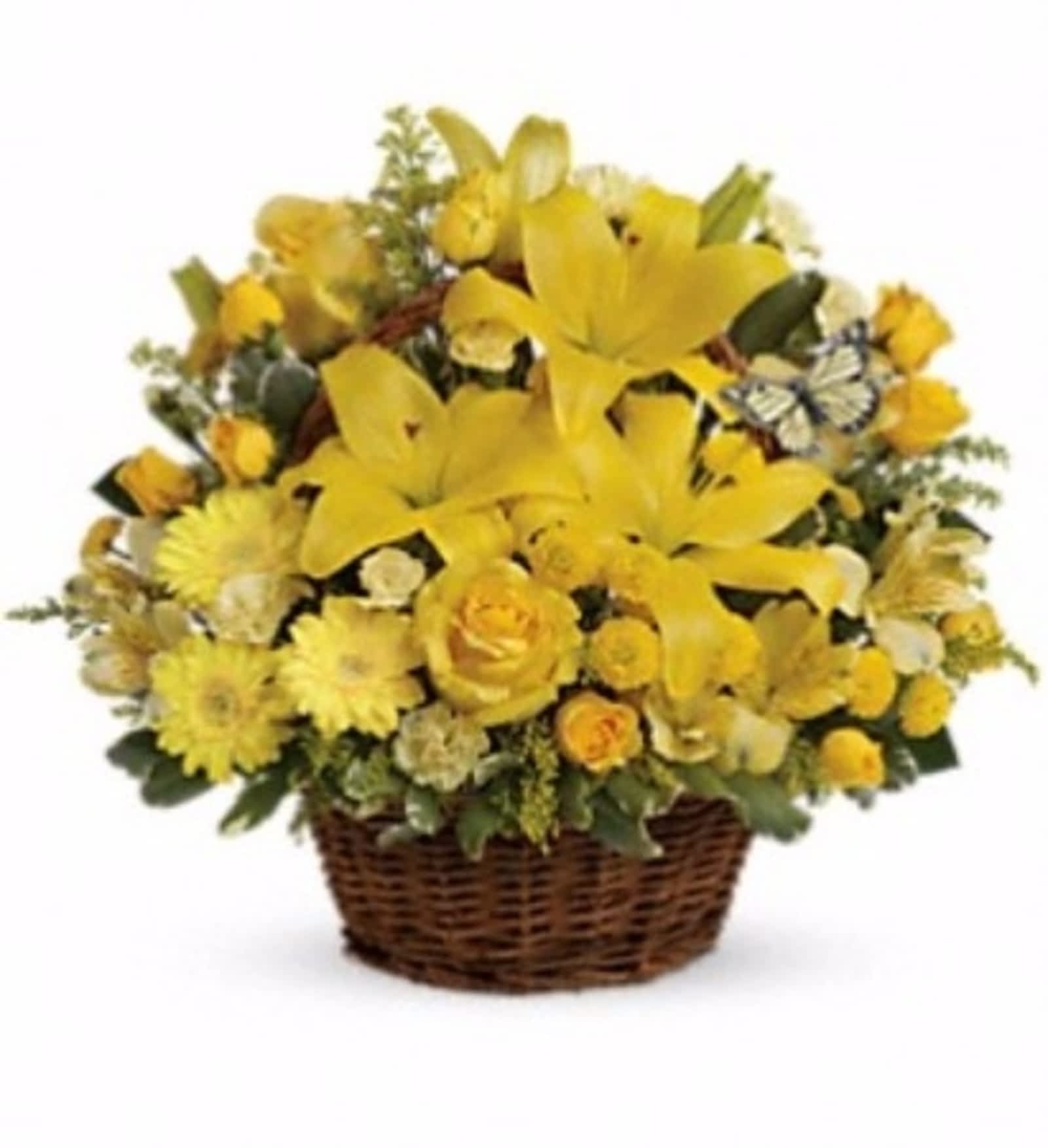 Ryerse S Garden Gallery Opening Hours 777 Norfolk St N Norfolk On