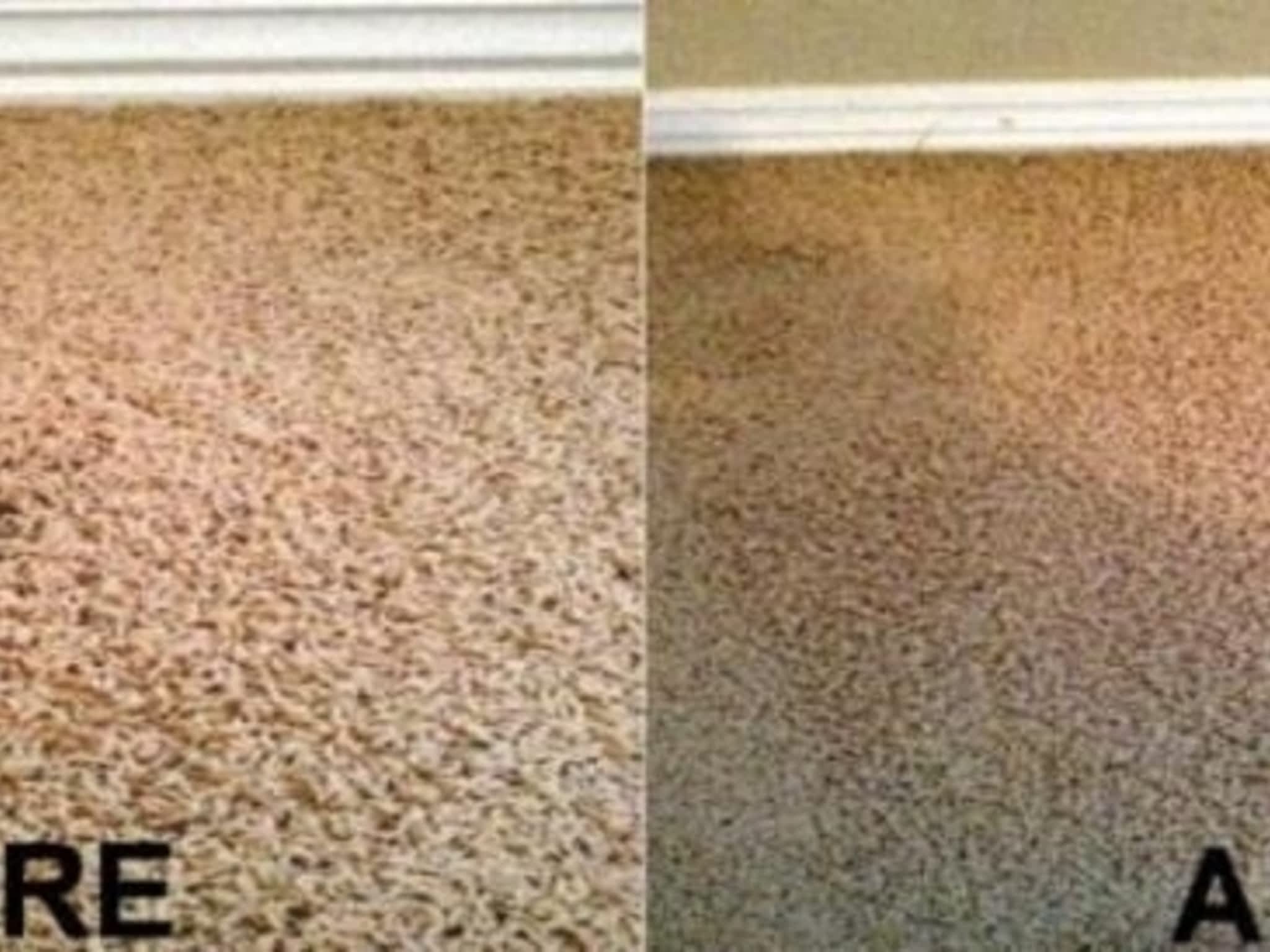 photo All Purpose Carpet Repair