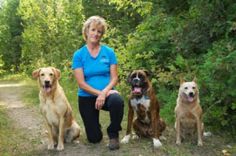The Ontario Dog Trainer - Bethany, ON - 814 Lifford Rd ...