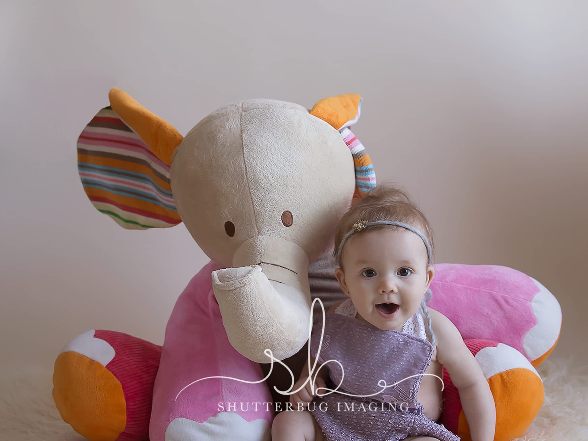 photo Shutterbug Imaging