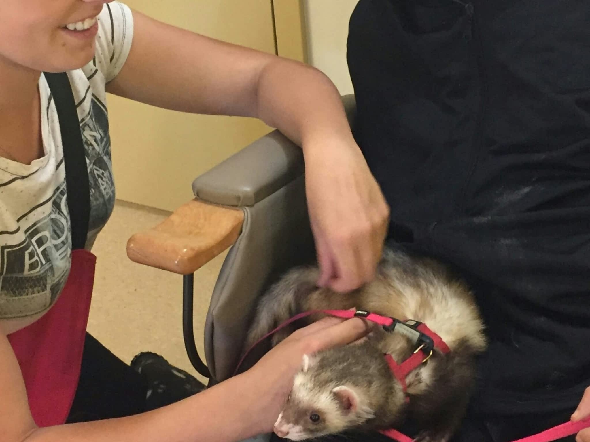 photo Services d'Interventions Mélissa Robitaille